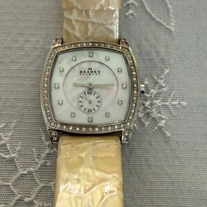 Skagen Women's Glitz Mother of Pearl and Crystal Watch